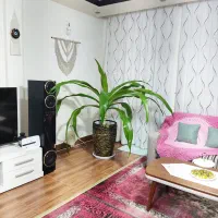سوسن عنکبوتی 6 ساله