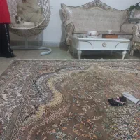 سگ تریر