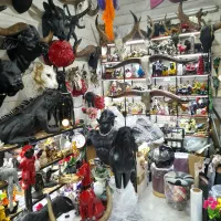 مجسمه اسب اباژور کنارسالنی