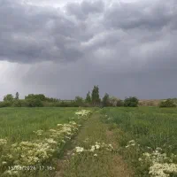 زمین فروشی