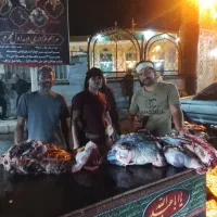قصاب و سلاخی وکشتار تخصصی گوساله و شتر در اراک