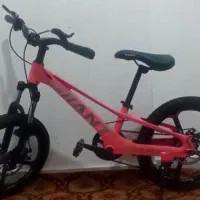 دوچرخه 20 تنه الومینیوم حرفه ایی