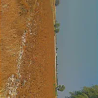زمین کشاورزی