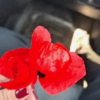 خشکبار اعلا وقیمت مناسب