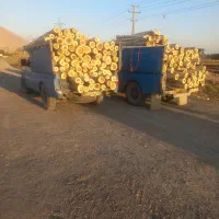 خریدار چوب درخت