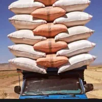 فروش کاه گندم درب دامداری ۱۱ هزار تومان