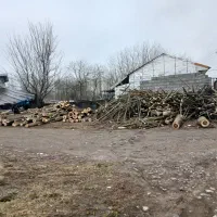 چوب صنوبر و چوب باغی با تناژ مختلف