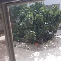 منزل مسکونی شناژی