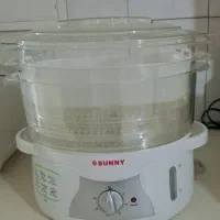 بخار پز سانی