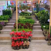 فروشنده