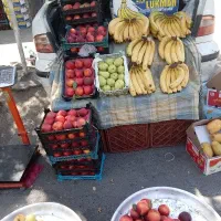 موز و شلیل مجلسی درجه یک 185