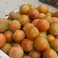 آلو برآنی