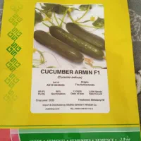 بذر خیار گلخانه ای