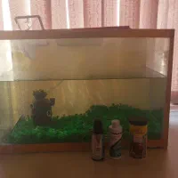 آکواریوم عرض 60طول 30با لوازم چمن دارو پمپ هوا