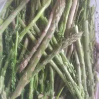 مارچوبه