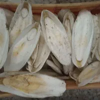 (خوراک پرندگان زینتی)