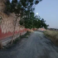 فروش باغ ۹۰۰ متری توس ۱۱۷