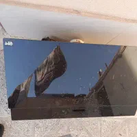 هود سالم