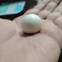 سنگ الماس آسیاب