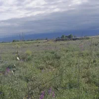 باغ-در-روستای-نوشنق