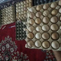 تخم مرغ