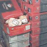 خرده دنبه گوسفندی،گوشت برزیلی ، قطعات مرغ