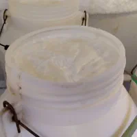 لبنیات بز بیابانی