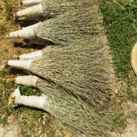 جارو محلی دونه‌ای 150