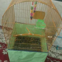 قفس بزرگ