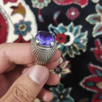 معاوضه فقط با طوطی راهب