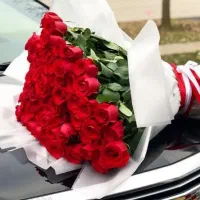 تشک طبی رویال در حد نو