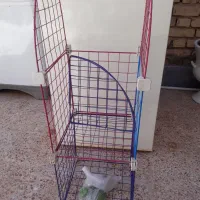 قفسه کتاب