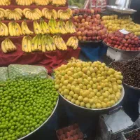نیرو فعال و جوان میوه فروشی