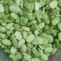 باقالی پاک شده فقط کیلویی ۲۱۰