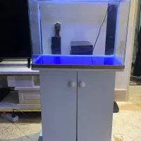 اکواریوم ماهیران شرکتی.