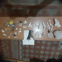 کلی مرجان ،صدف ،گوش ماهی ،سنگ اکواریومی