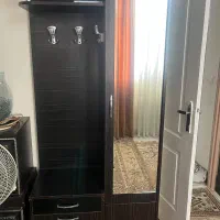 جاکفشی سالم