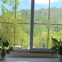 اجاره ویلا روزانه در دل طبیعت
