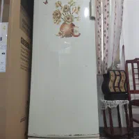 فریزر تارا