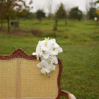 تشریفات مجالس مهدی علیزاده