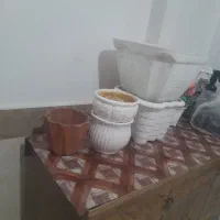 گلدان