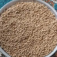 نخود آبگوشتی تمیز