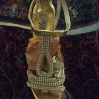 کفش مجلسی