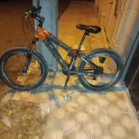 دوچرخه 24تایگر