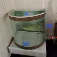 اکواریم برای نگهداری ماهی ولجن خوار