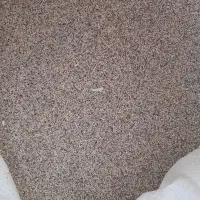 بذر‌فقط‌معاوضه