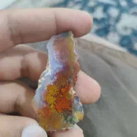 سنگ. راف. شجر