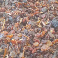 کشمش گله خرما ارسال رایگان