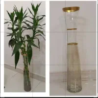 اسباب