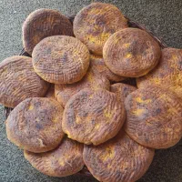 اجتماعی|حراج|مریوان, |دیوار